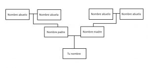 Estructura básica de un árbol genealógico