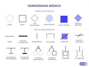 genograma básico con simbología y relaciones